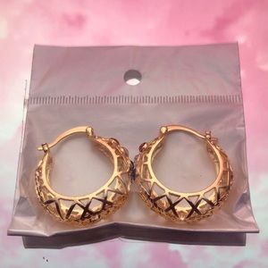 Gold Filled Hoop Earrings